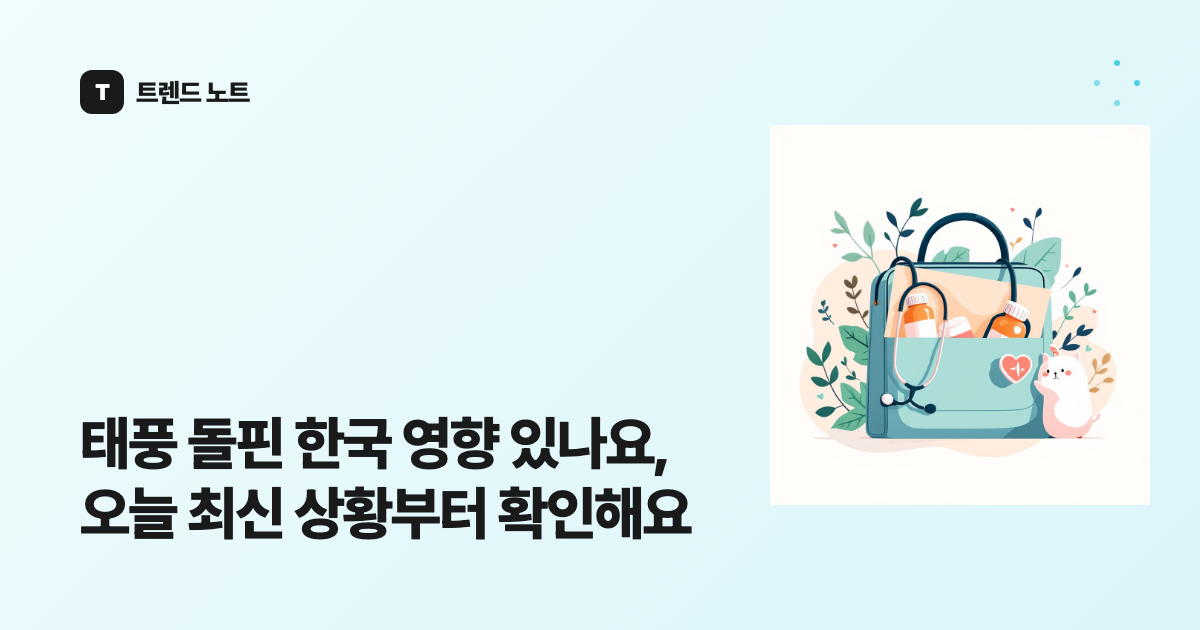 태풍 돌핀 한국 영향 있나요, 오늘 최신 상황부터 확인해요